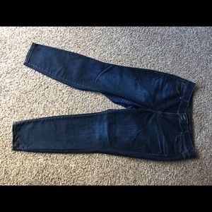 Lane Bryant straight leg